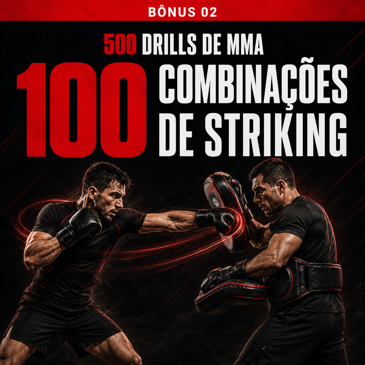 Bônus 2 - 100 Combinações de Striking